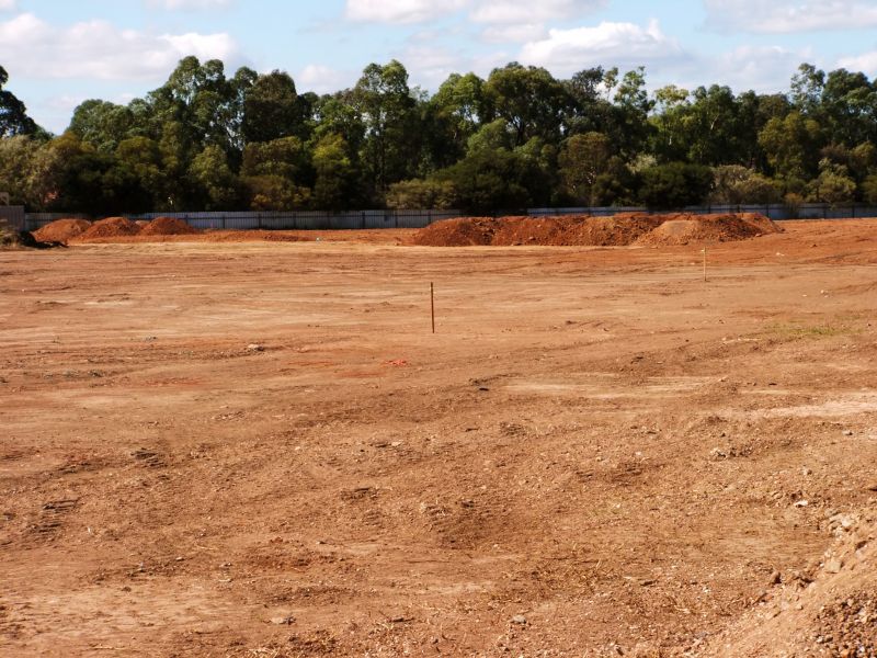 Preparing for Your Project