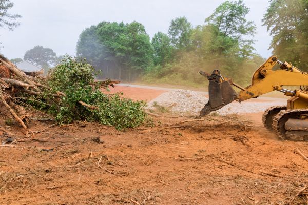 Ground Clearing in Asheville