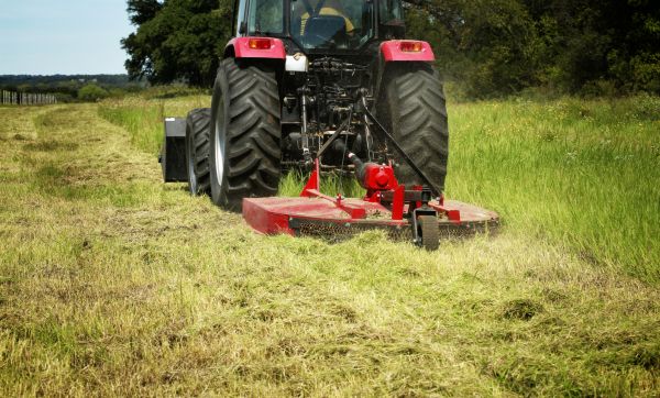 Brush Clearing Service in Asheville