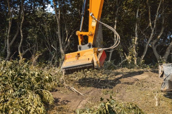 Brush Removal Service in Asheville
