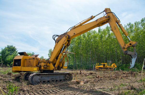 Farm Clearing in Asheville
