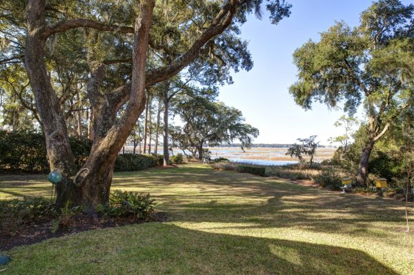 Lakefront Property Clearing in Asheville