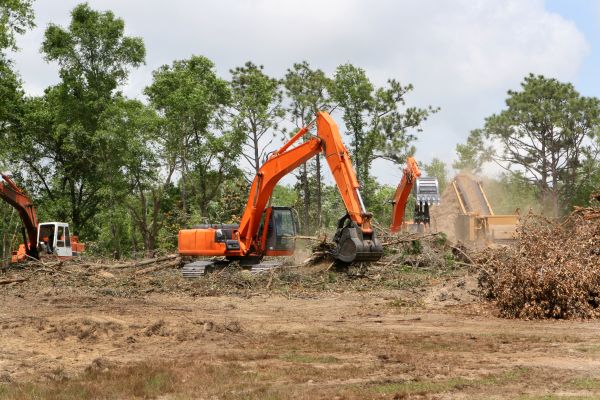 Commercial Lot Clearing in Asheville
