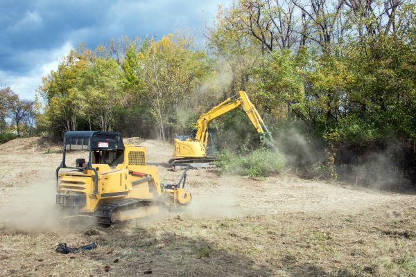 Terrain Clearing in Asheville
